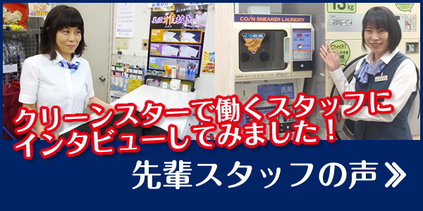 先輩スタッフの声